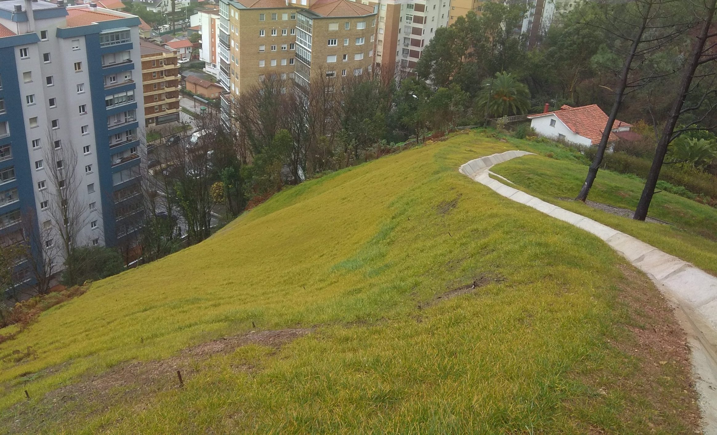 Estabilización de talud en Pinos Altos (Asturias). hidrosiembra talud