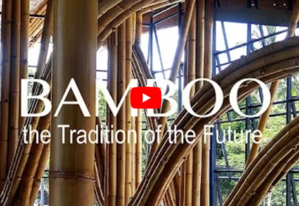 Bamboo. The Tradition of the Future: un cortometraje sobre el bambú como material sostenible