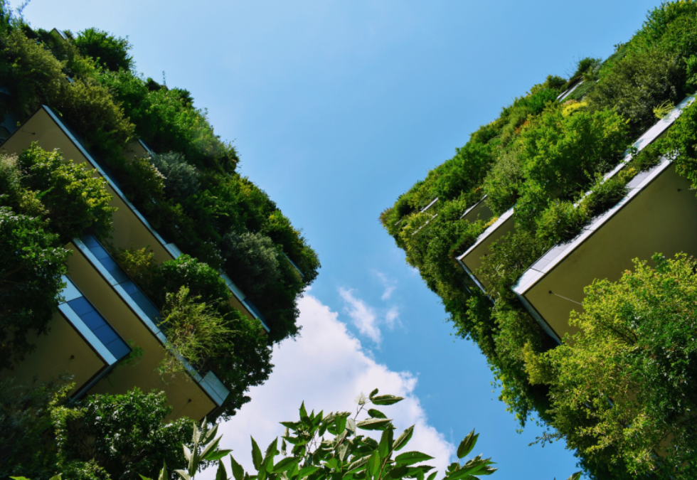 El diseño ecológico: la clave para construir un futuro sostenible
