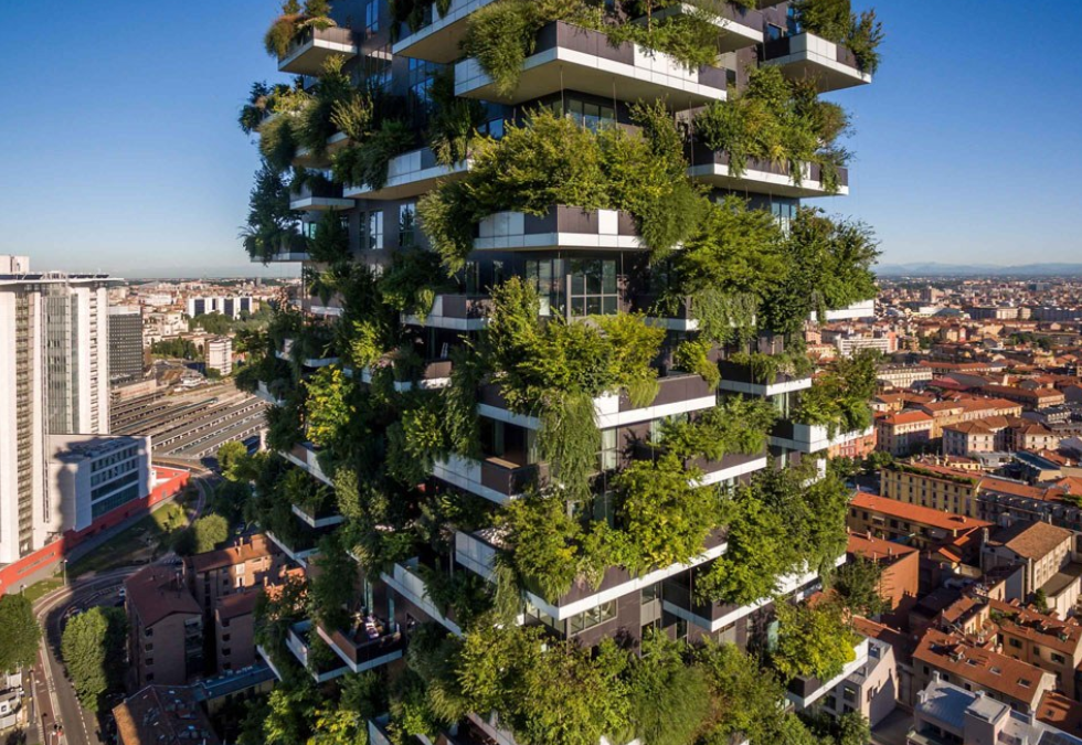 Diseño biofílico: una transformación verde en la arquitectura y el urbanismo español